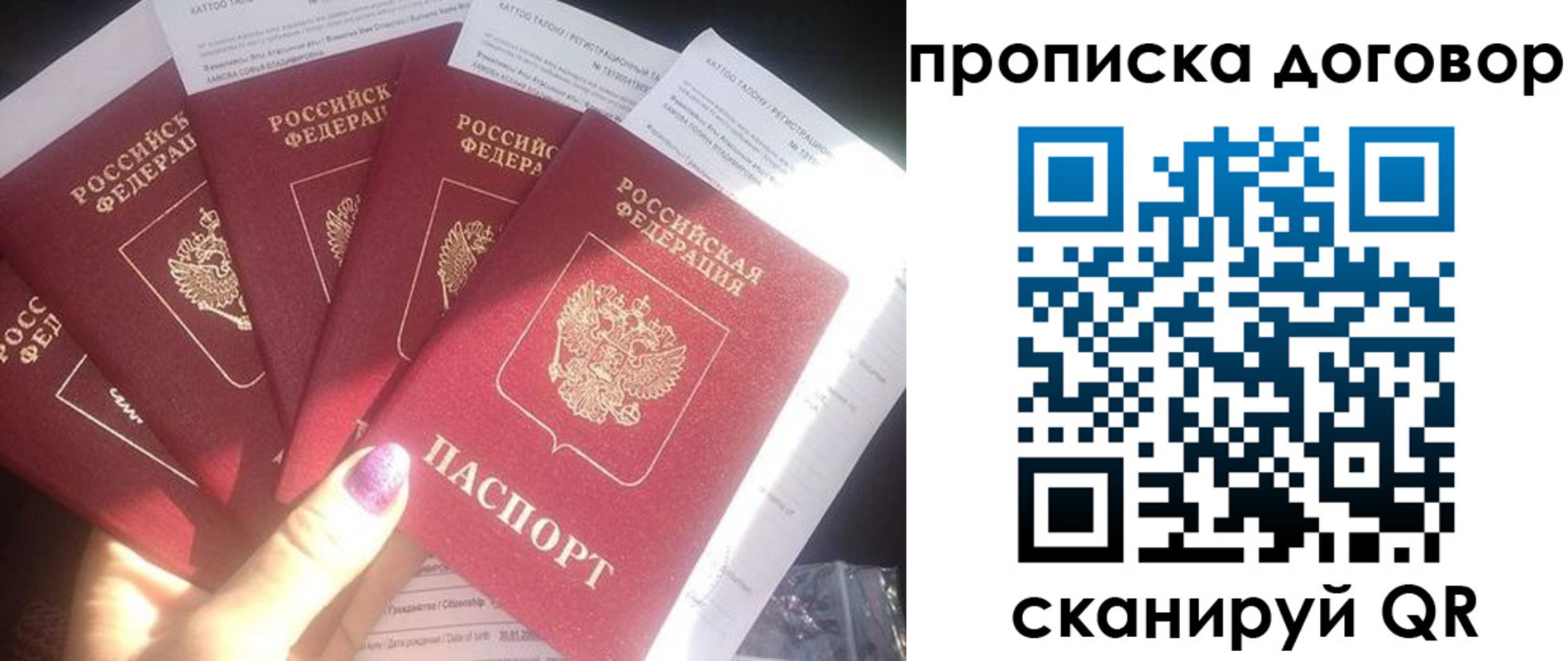 где прописаться в Пионерском