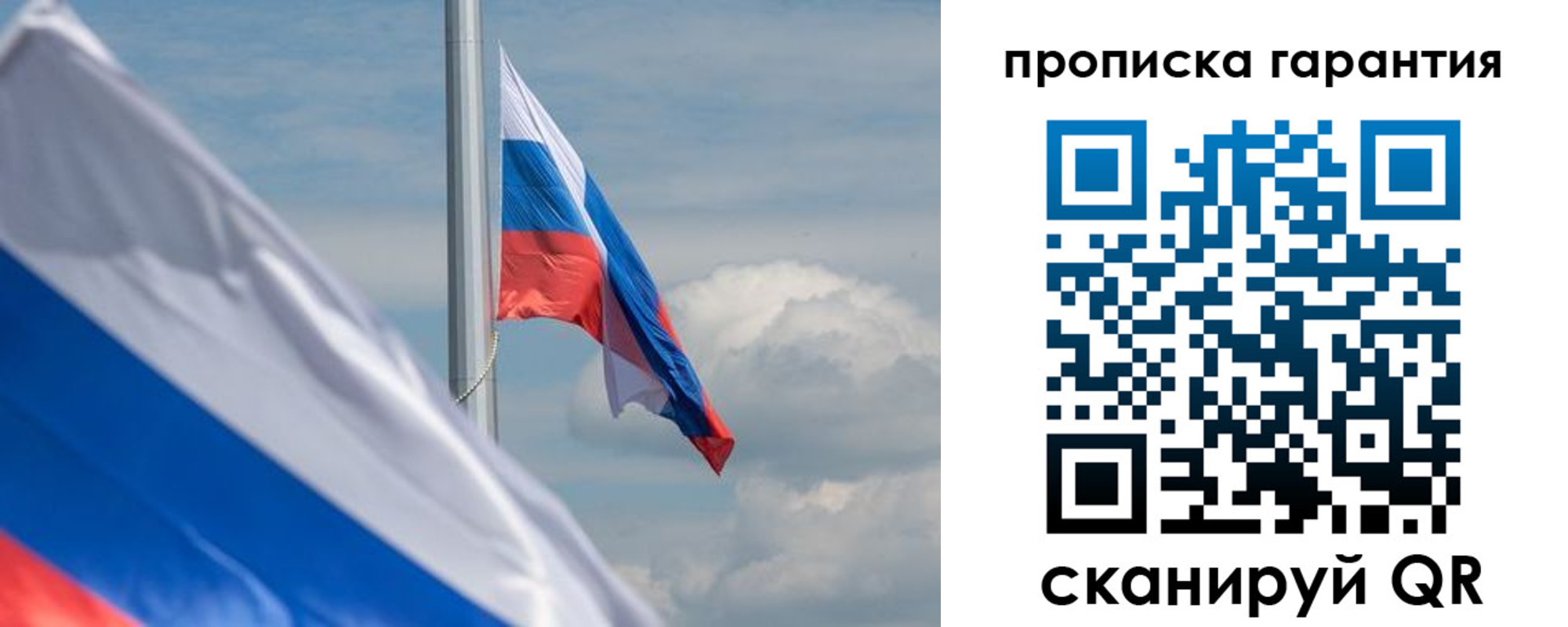 прописка поиск в Пионерском